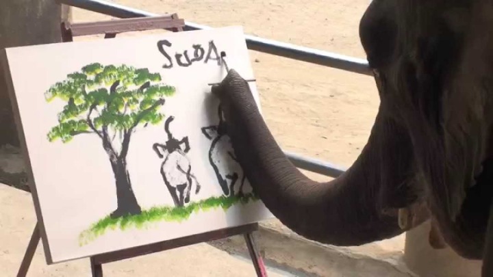 Elefante artista pintando un cuadro con firma incluida en Tailandia (Foto desconocida)